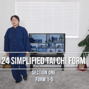 24 Simplified Tai Chi Form - Wenli