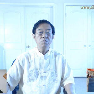 Live Stream Seminar Video Clips on 9th August 2020 - Grandmaster Chen Zhenglei