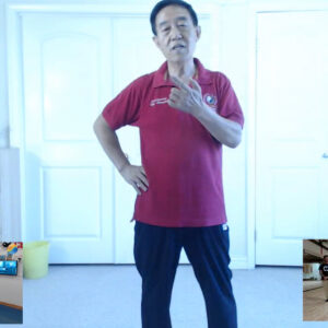 Chen Zhenglei Live Seminar Video on 10th October 2021