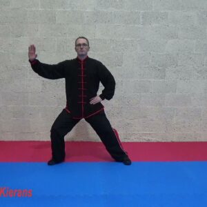 Tai Chi 11 Form by Damian
