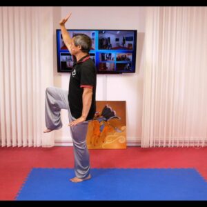 83 Form Seminar Video Clips for Part 5-6