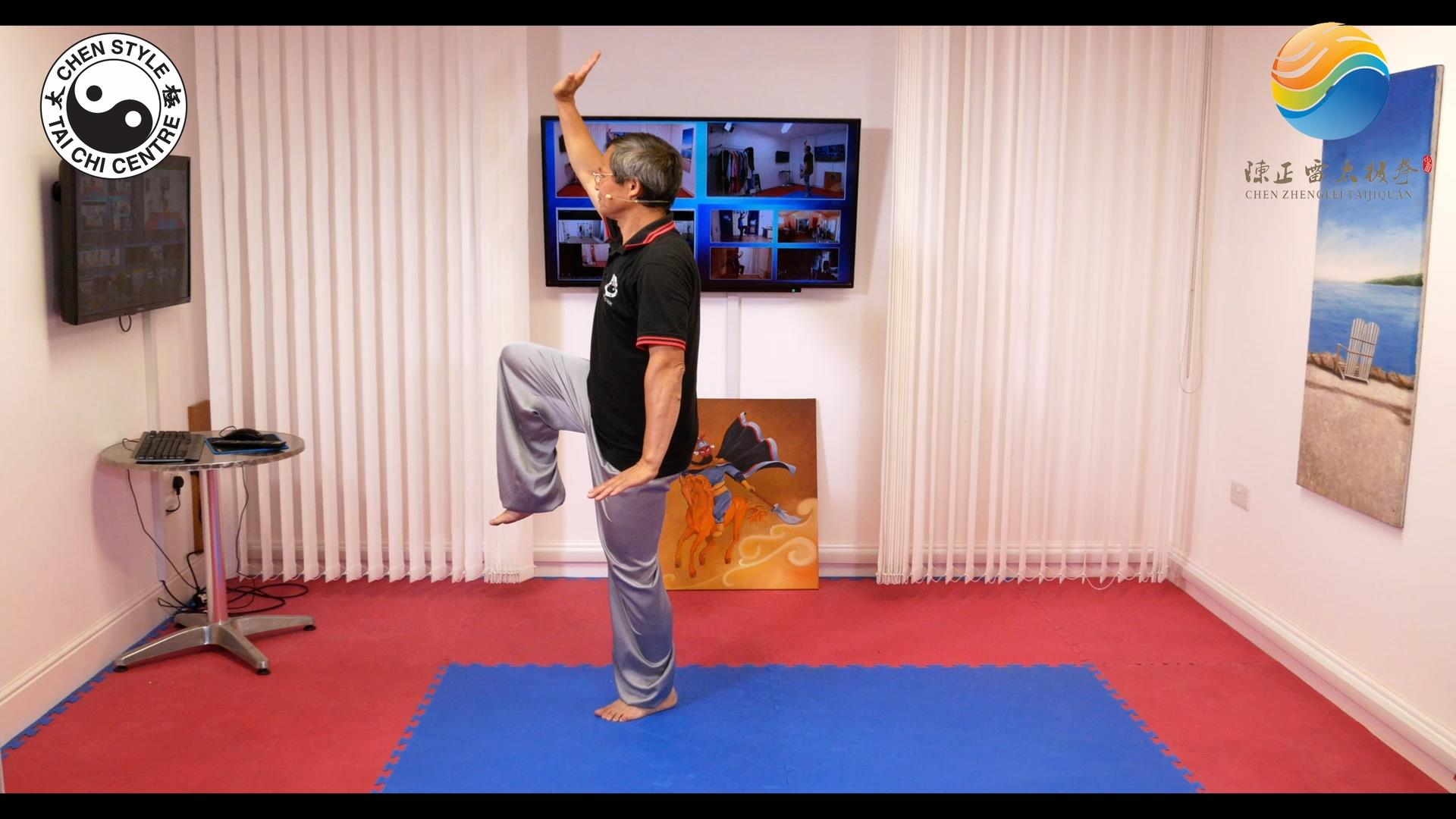 83 Form Seminar Video Clips for Part 5-6